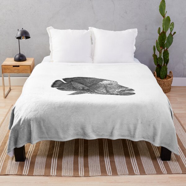 Item preview, Napoleon wrasse black and white designed and sold by Paul Kyriakides.