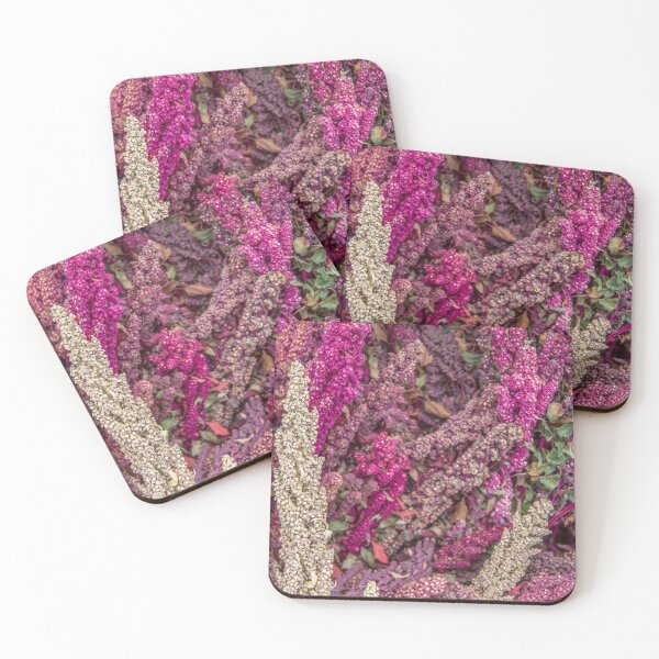 Item preview, Quinoa designed and sold by DianaC.