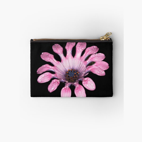 Item preview, Cape Daisy designed and sold by Chris Cobern.