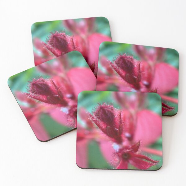 Item preview, Closeup of Ashanti Blood Flower designed and sold by Sinemathk.