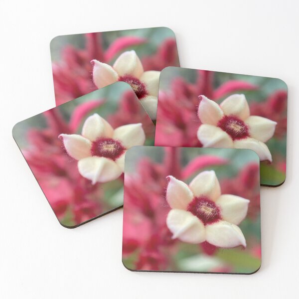Item preview, Closeup of White Ashanti Blood Flower designed and sold by Sinemathk.