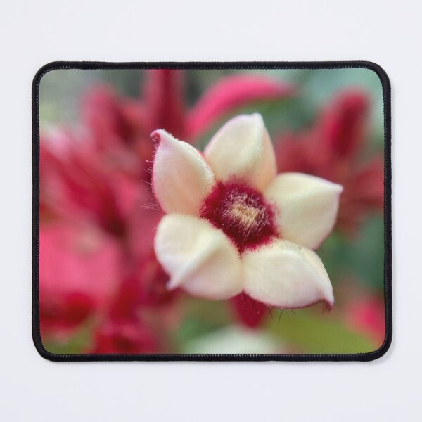 Item preview, Primer plano de una flor de sangre blanca Ashanti designed and sold by Sinemathk.
