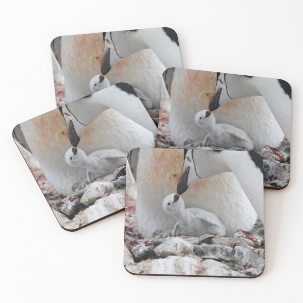 Item preview, Kiss of the beak designed and sold by DianaC.