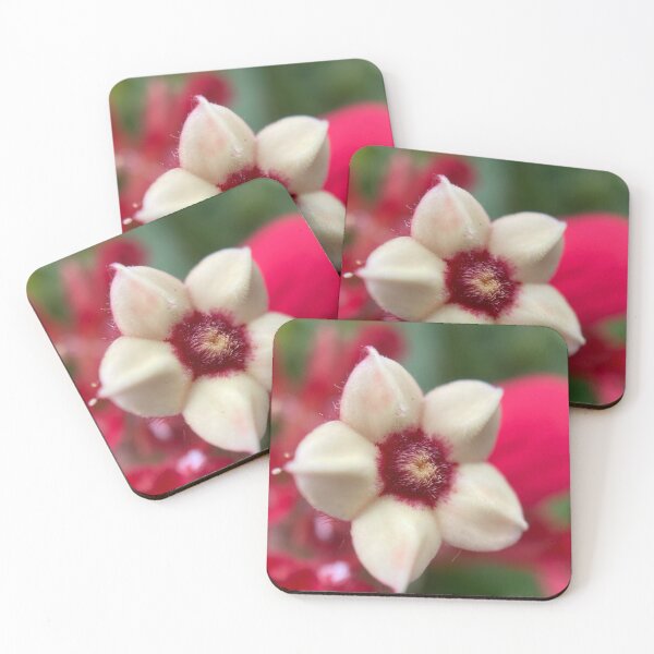 Item preview, Closeup of White Ashanti Blood Flower designed and sold by Sinemathk.