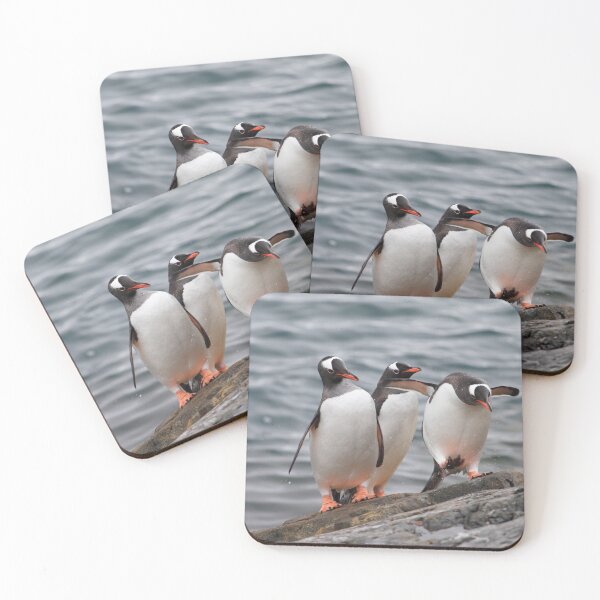 Item preview, Gentoo trio designed and sold by DianaC.