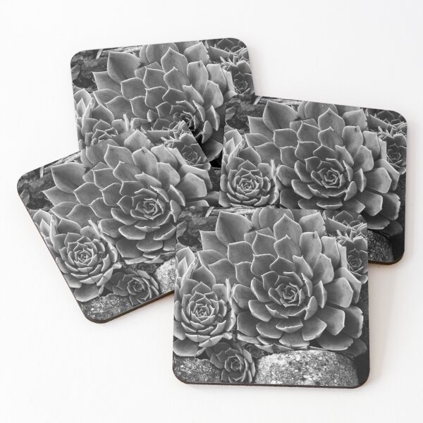 Item preview, succulent in monochrome designed and sold by DianaC.