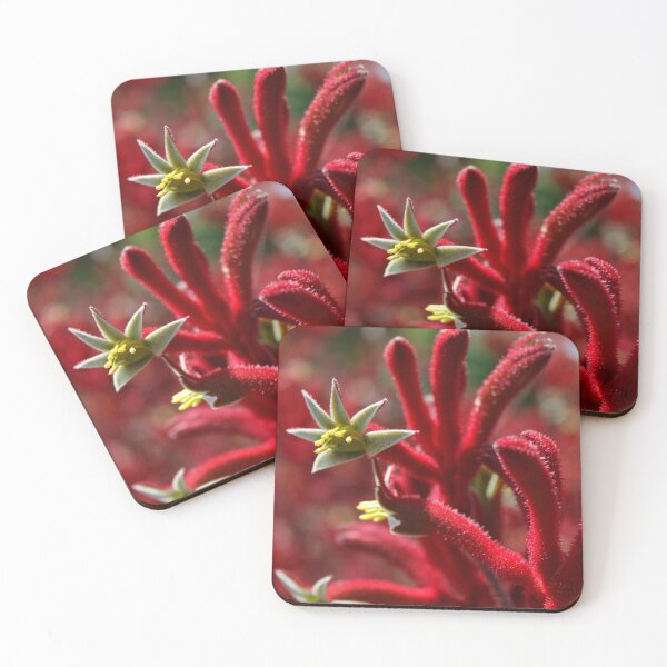Item preview, Kangaroo Paw designed and sold by DianaC.