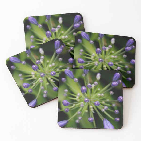 Item preview, Agapanthus designed and sold by DianaC.