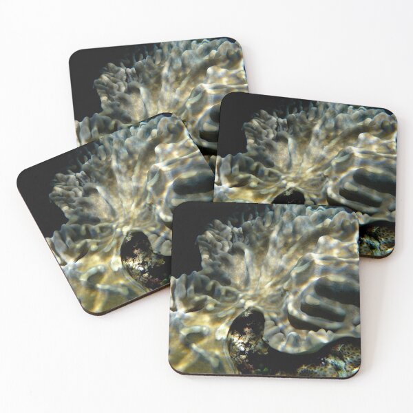 Item preview, Finger Coral designed and sold by DianaC.