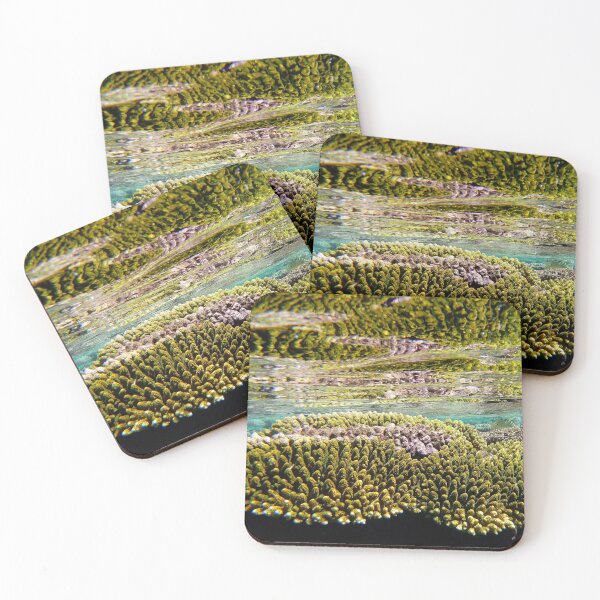 Item preview, Underwater colour designed and sold by DianaC.