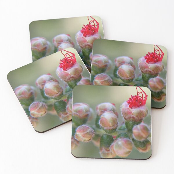 Item preview, Exposed designed and sold by DianaC.
