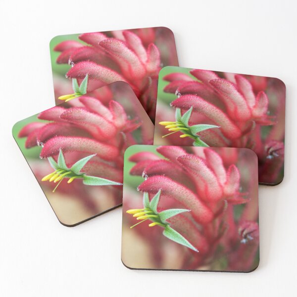 Item preview, Kangaroo Paw designed and sold by DianaC.