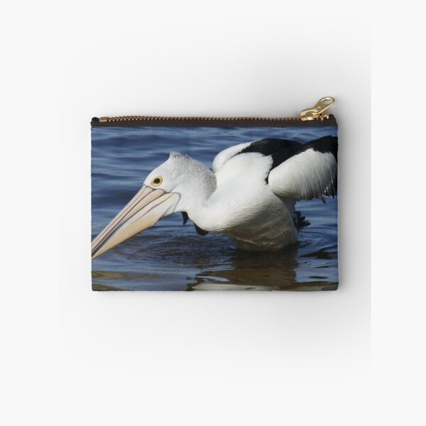 Item preview, Pelican Scratching - Caloundra - Qld designed and sold by HeidiForeman.