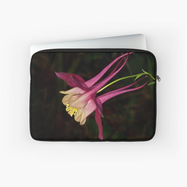 Item preview, Aquilegia 3 designed and sold by Chris Cobern.