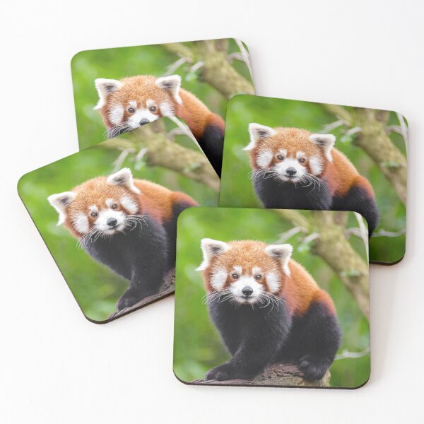 Item preview, Red Panda Pocket designed and sold by Trendy Design.