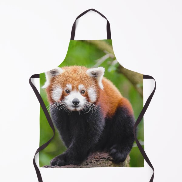Item preview, Red Panda Pocket designed and sold by Trendy Design.