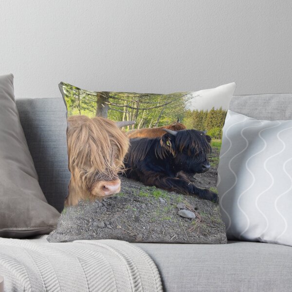 Artikelvorschau, Scottish Highland Cattle Calves 2863 entworfen und verkauft von SaarelaHighland.