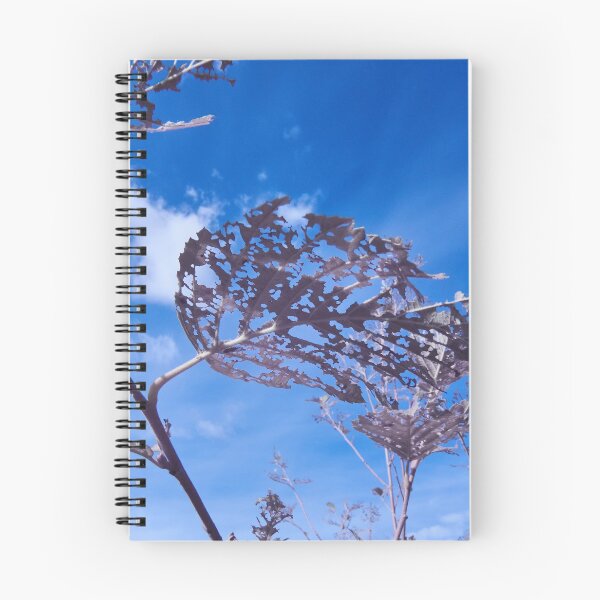 Item preview, When the colors got washed away designed and sold by Jouko Lehto Photography.