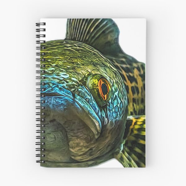 Item preview, Goldspot Snakehead - Channa aurantimaculata designed and sold by AquariumLutter.