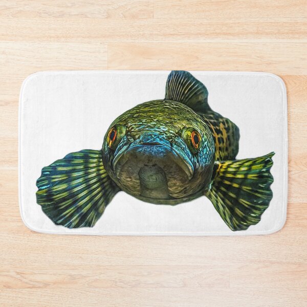 Item preview, Goldspot Snakehead - Channa aurantimaculata designed and sold by AquariumLutter.