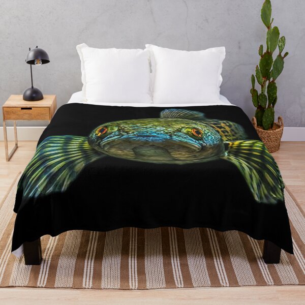 Item preview, Goldspot Snakehead - Channa aurantimaculata designed and sold by AquariumLutter.