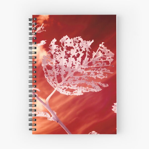Item preview, Life on the red planet designed and sold by Jouko Lehto Photography.