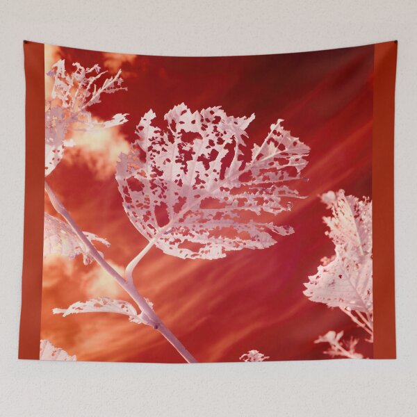 Item preview, Life on the red planet designed and sold by Jouko Lehto Photography.