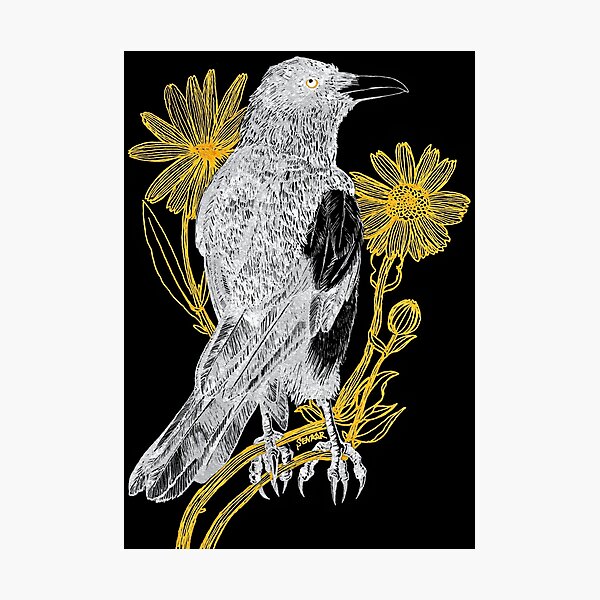 Item preview, Magpie and Marigold (for dark backgrounds) designed and sold by -Senaar-.
