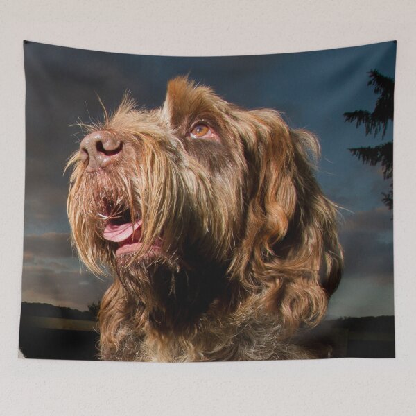 Item preview, Watching the stars Spinone by heidiannemorris designed and sold by FOLK ART FUSION by heidiannemorris.