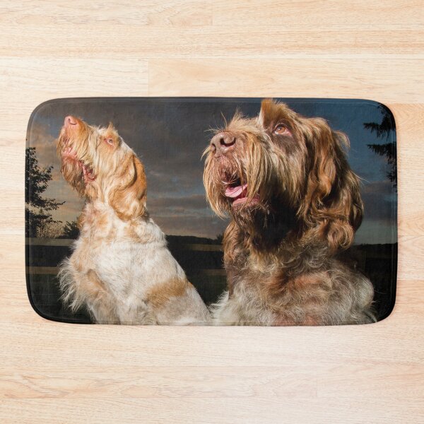 Item preview, Watching the stars Spinone by heidiannemorris designed and sold by FOLK ART FUSION by heidiannemorris.
