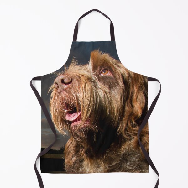Item preview, Watching the stars Spinone by heidiannemorris designed and sold by FOLK ART FUSION by heidiannemorris.