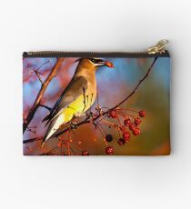 Cedar Waxwing Studio Pouch