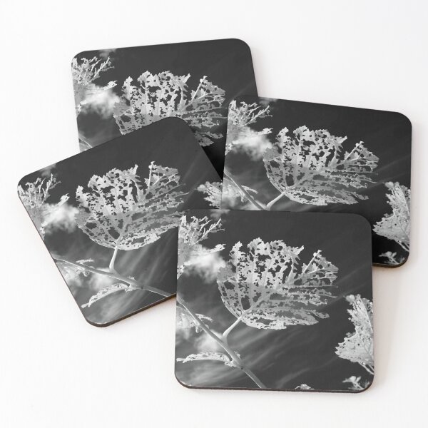 Item preview, Against the black sky designed and sold by Jouko Lehto Photography.