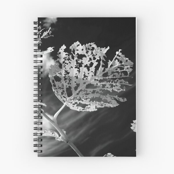 Item preview, Against the black sky designed and sold by Jouko Lehto Photography.