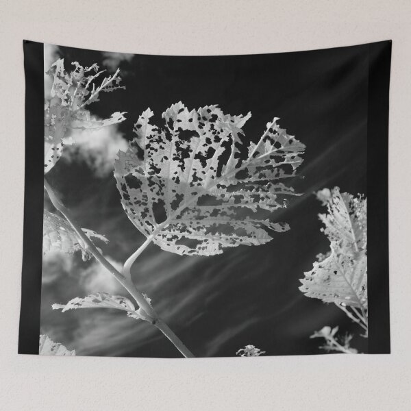 Item preview, Against the black sky designed and sold by Jouko Lehto Photography.