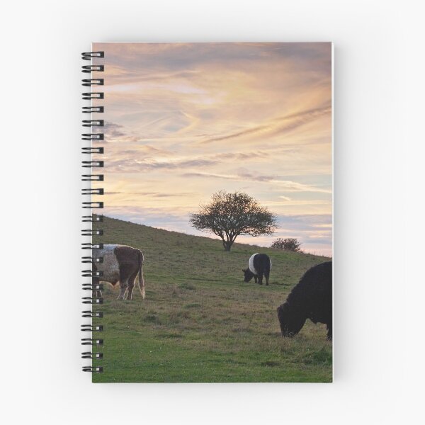 Item preview, Pitstone Hill designed and sold by Graham  Custance.