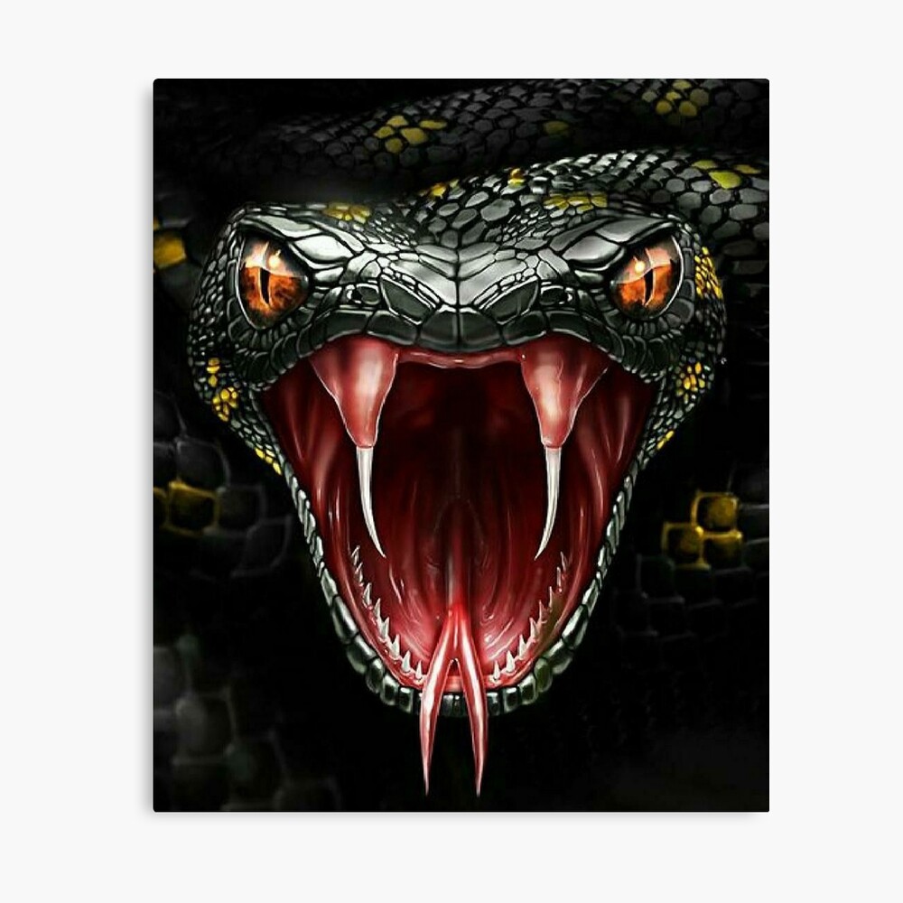 3D Black Mamba Python Boa Snake Head | Poster