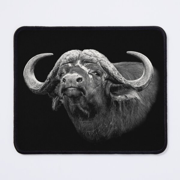 Item preview, Buffalo Bull Close-Up African Wildlife designed and sold by Scotch Macaskill.