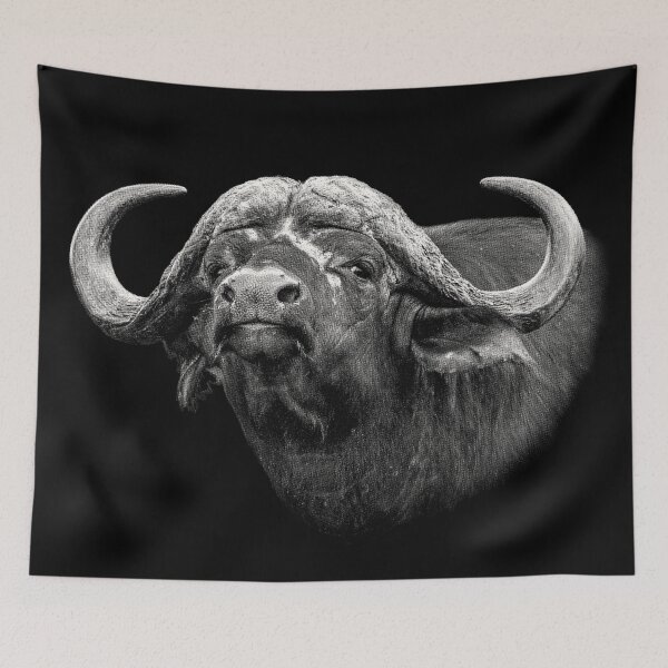 Item preview, Buffalo Bull Close-Up African Wildlife designed and sold by Scotch Macaskill.