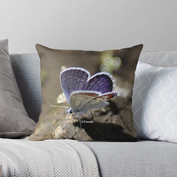Karner Blue Butterfly Throw Pillow
