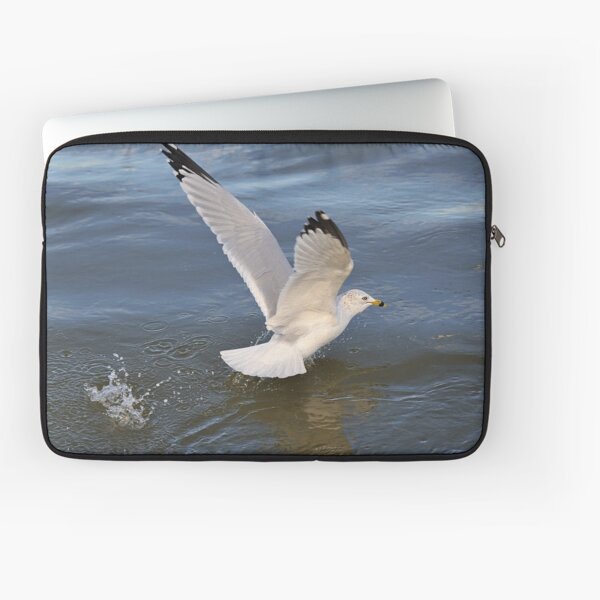 Gull on the river Laptop Sleeve
