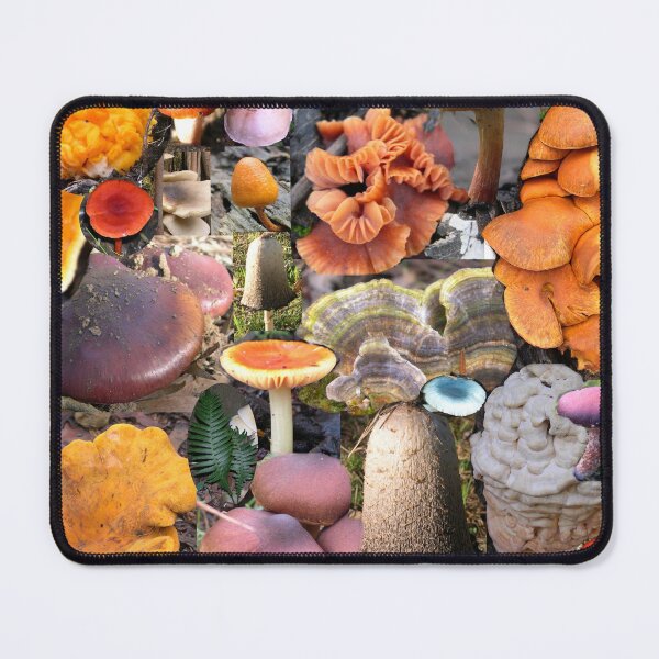 Item preview, Fungi galore designed and sold by HaniaAnia.