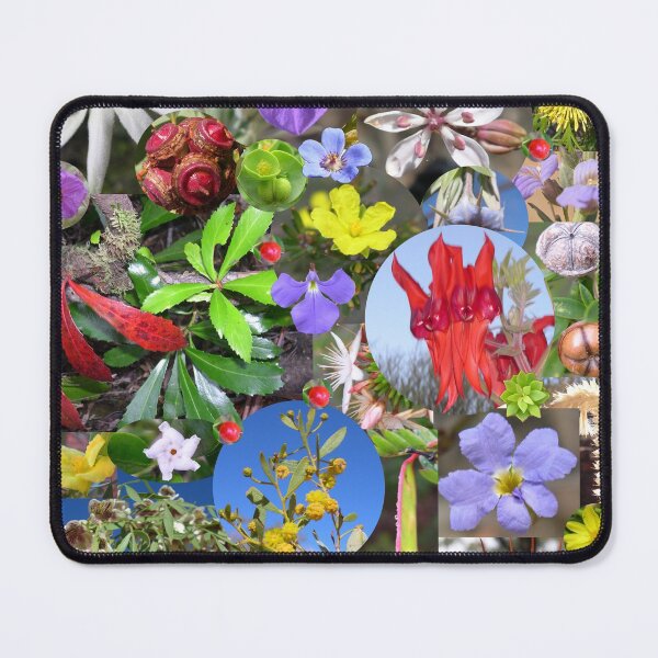 Item preview, Colourful plants designed and sold by HaniaAnia.