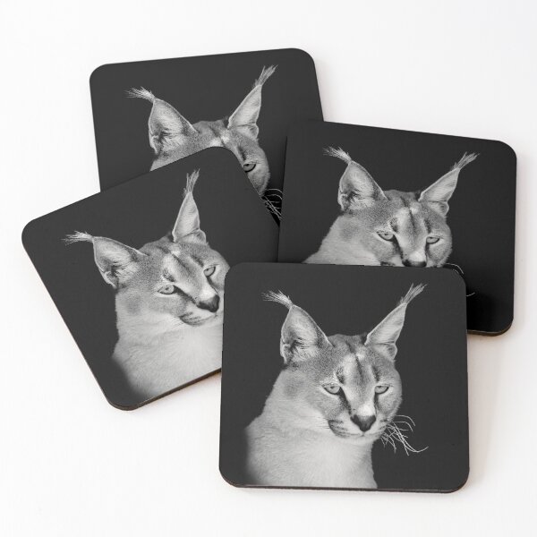 Item preview, Caracal Close-Up African Wildlife designed and sold by Scotch Macaskill.