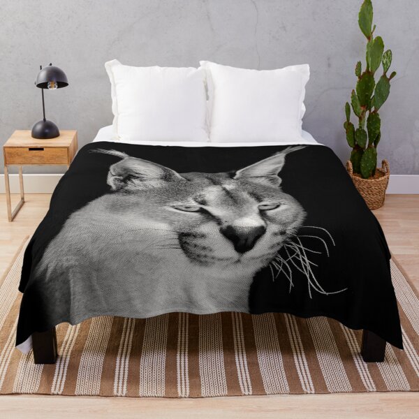 Item preview, Caracal Close-Up African Wildlife designed and sold by Scotch Macaskill.