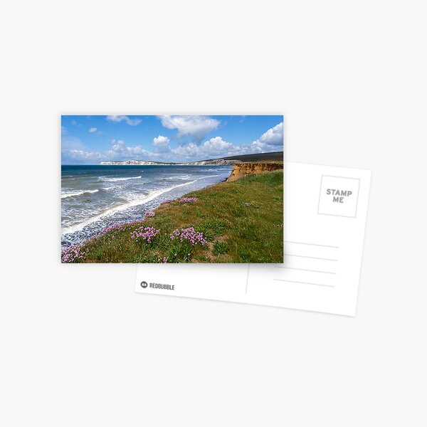 Item preview, Compton Bay Sea Thrift designed and sold by manateevoyager.
