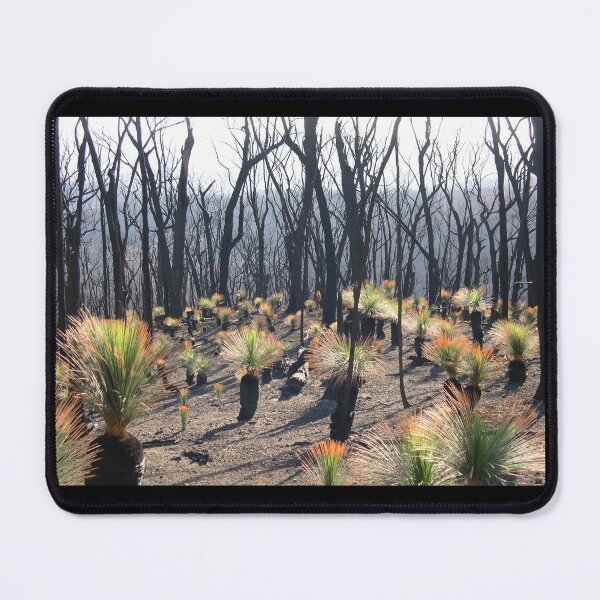 Item preview, Recovering grass trees designed and sold by HaniaAnia.