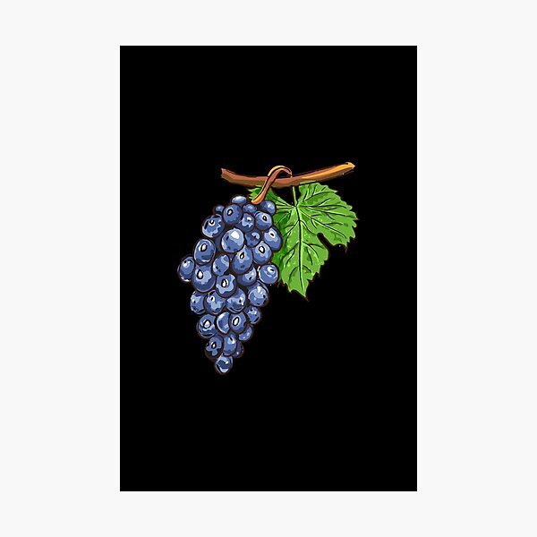 Item preview, blue grapes designed and sold by zaher97.