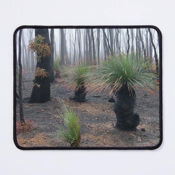 Item preview, Resilient grass trees after fire designed and sold by HaniaAnia.