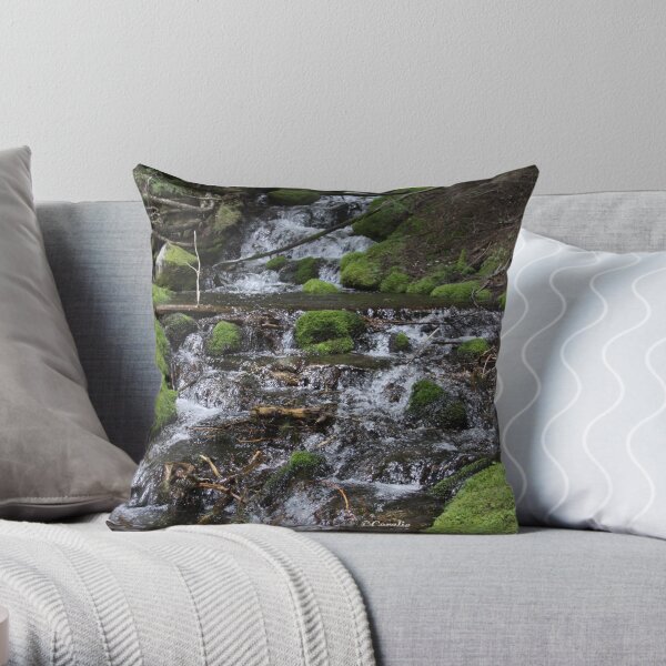 Falling Cascades of the Cascade Mountains Oregon Throw Pillow